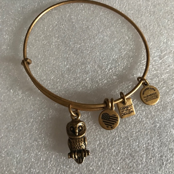 Alex and Ani Expandable Wire Bracelet - Picture 3 of 7
